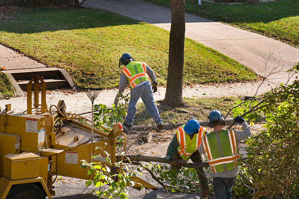 Lawn Watering Services in White Salmon, WA